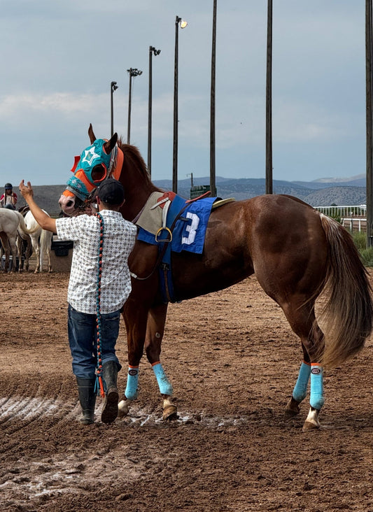 🚨 Kissin Perfect Qualifies Second Fastest for the $30,000-Added Young / Ford Wyoming Downs Derby!