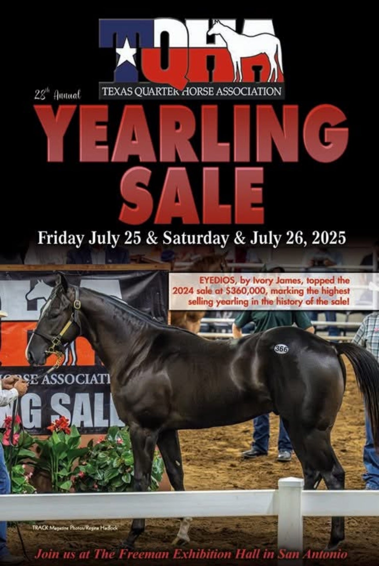 2025 TQHA Sale Catalog Supreme Q Racing