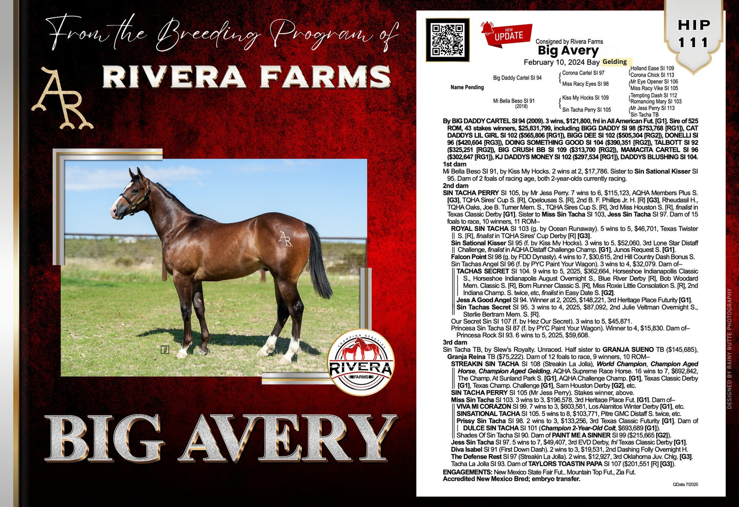 2025 New Mexico Bred Yearling Sale