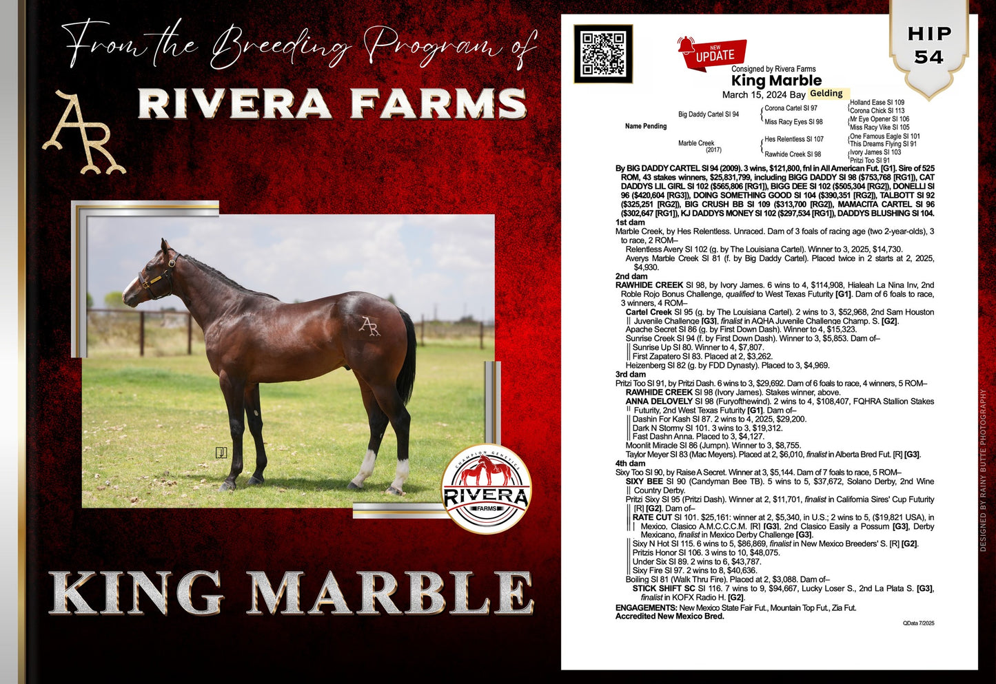 2025 New Mexico Bred Yearling Sale
