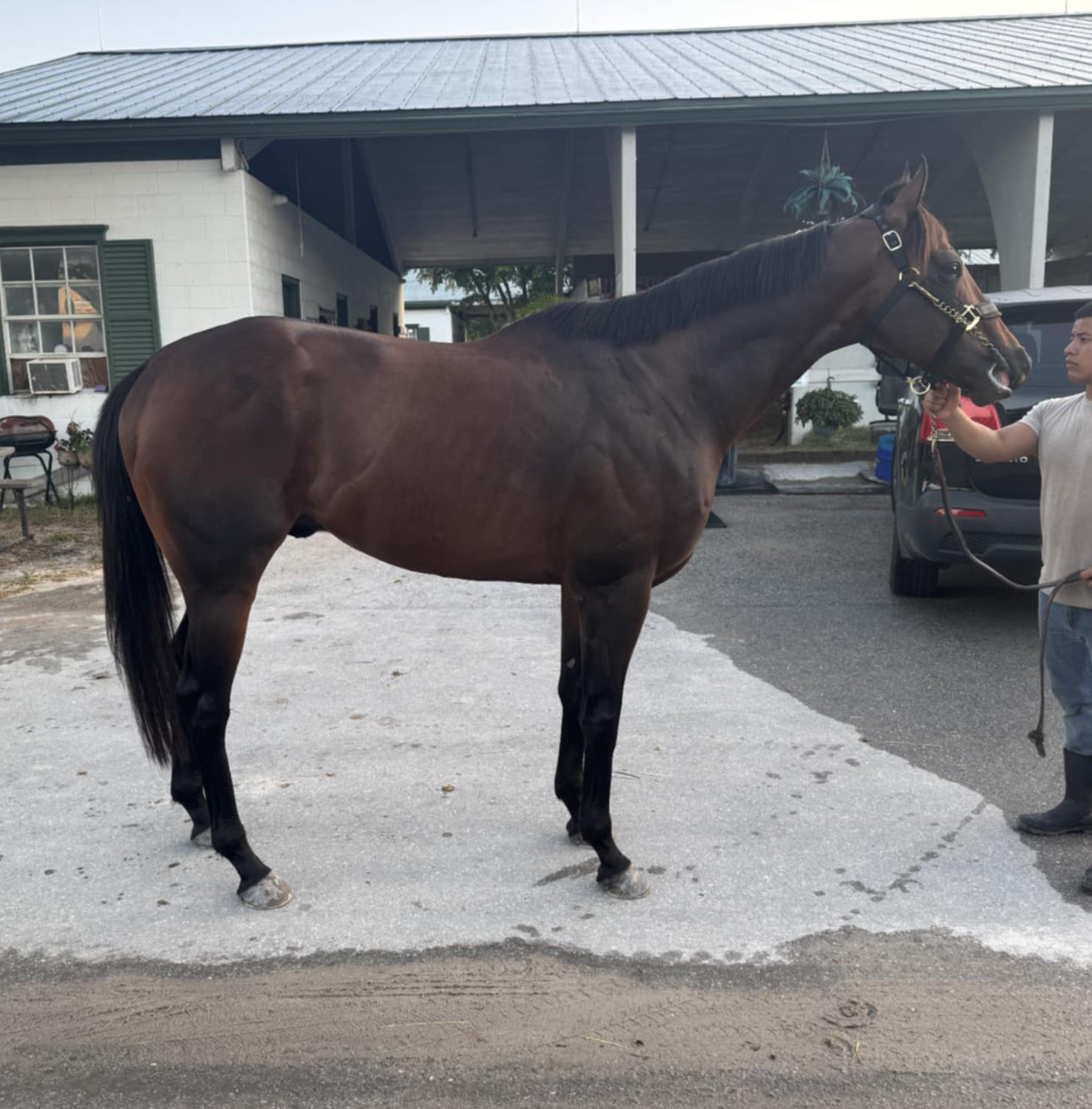 Panther Island ( TB ) Track record Setter at 5 1/2 at Gulfstream Park