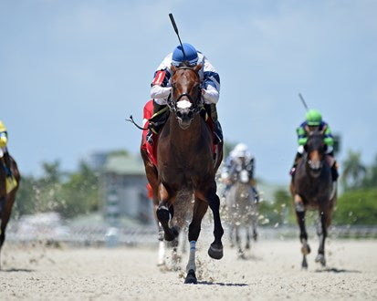 Panther Island ( TB ) SI 114 Track Record Setter