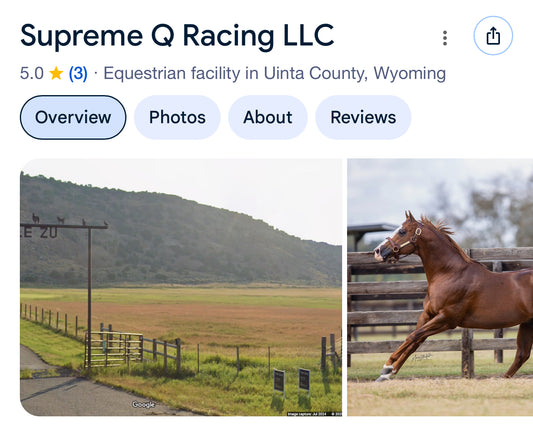 Wyoming Bred Mare Care