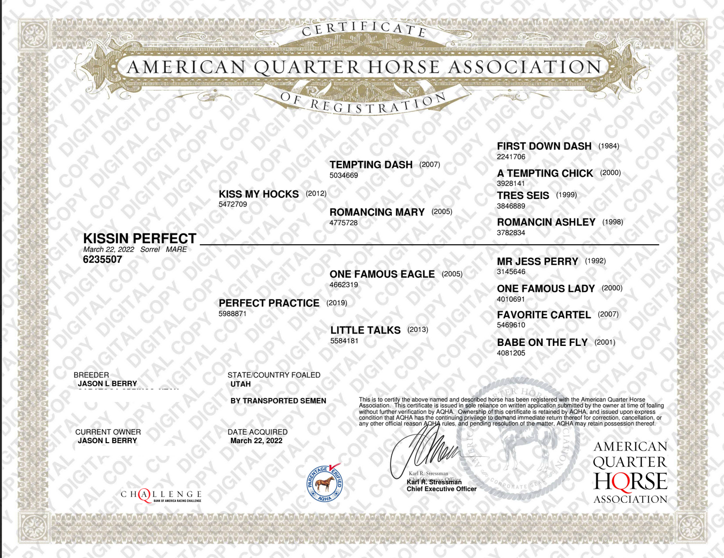 Kissin Perfect SI 105