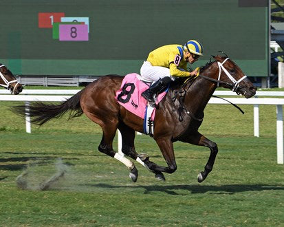 Panther Island ( TB ) SI 114 Track Record Setter