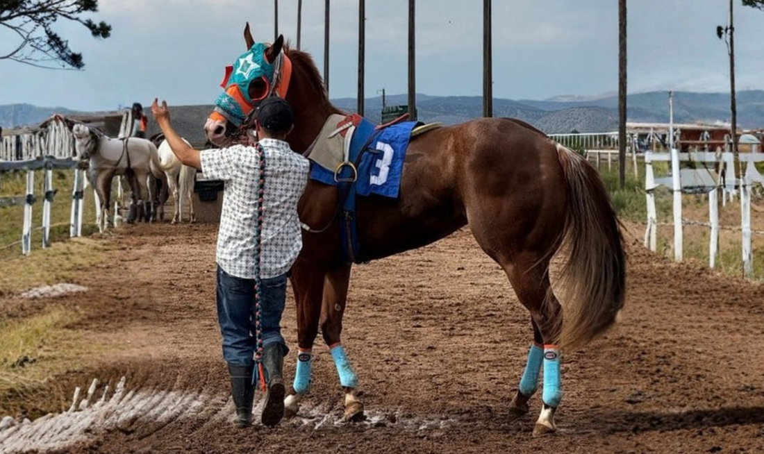 🚨 Kissin Perfect Qualifies Second Fastest for the $30,000-Added Young / Ford Wyoming Downs Derby!