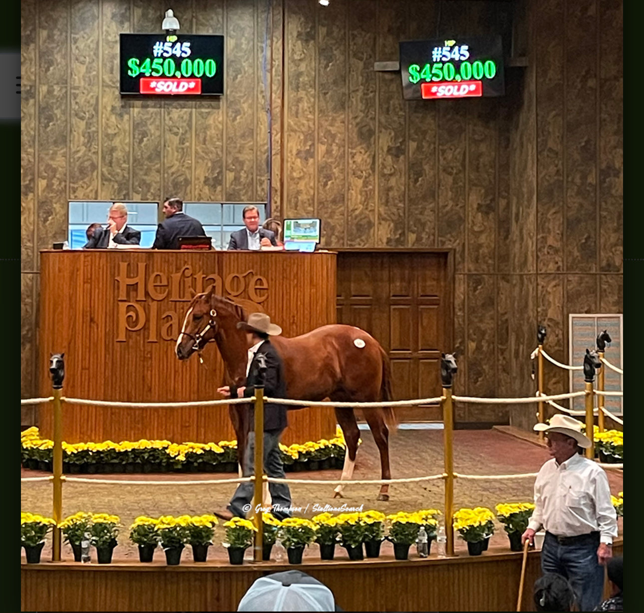 AQHA Race Auctions – Supreme Q Racing