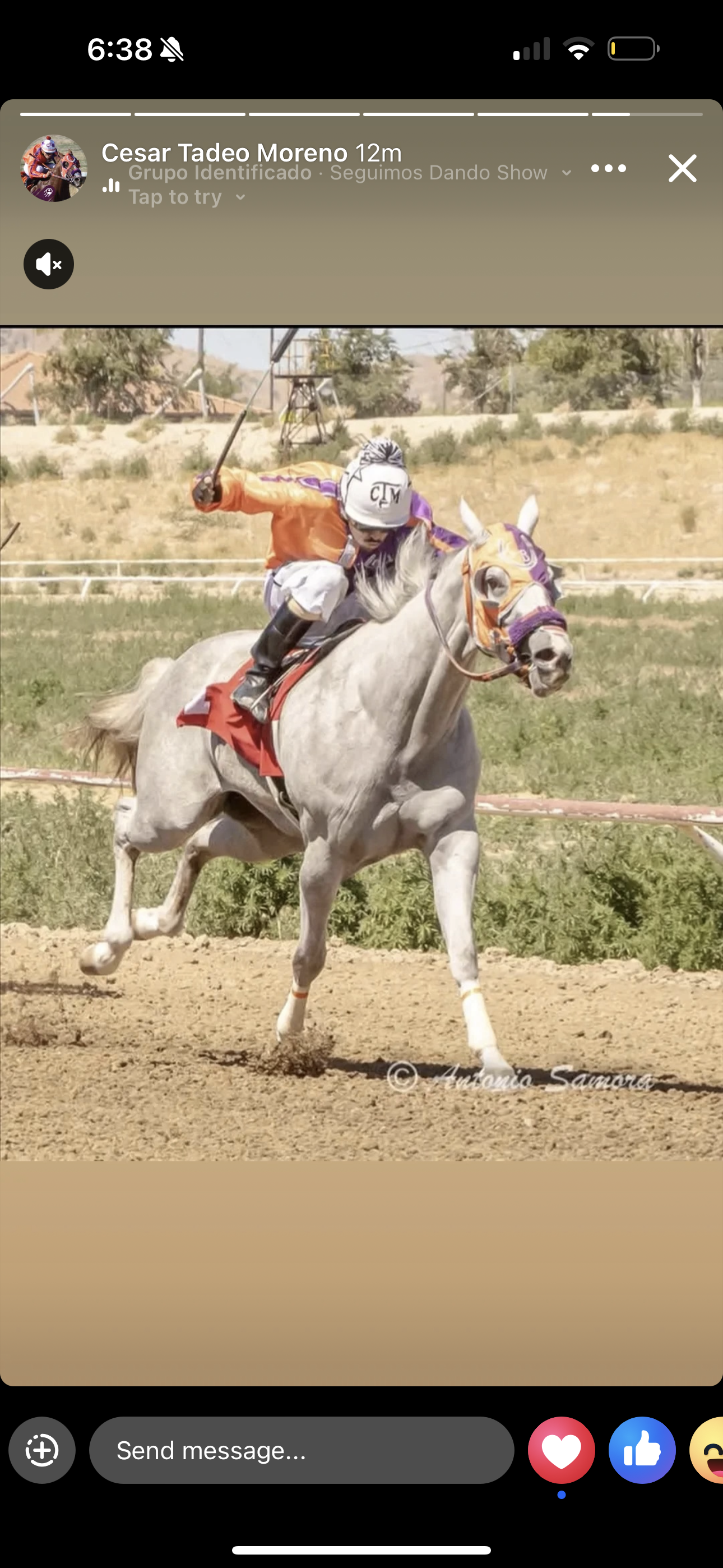 KVN Corona x Jr Prissys Blood ( Apollitical Blood )