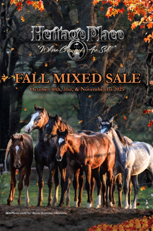 2025 Fall Mixed Heritage Catalog