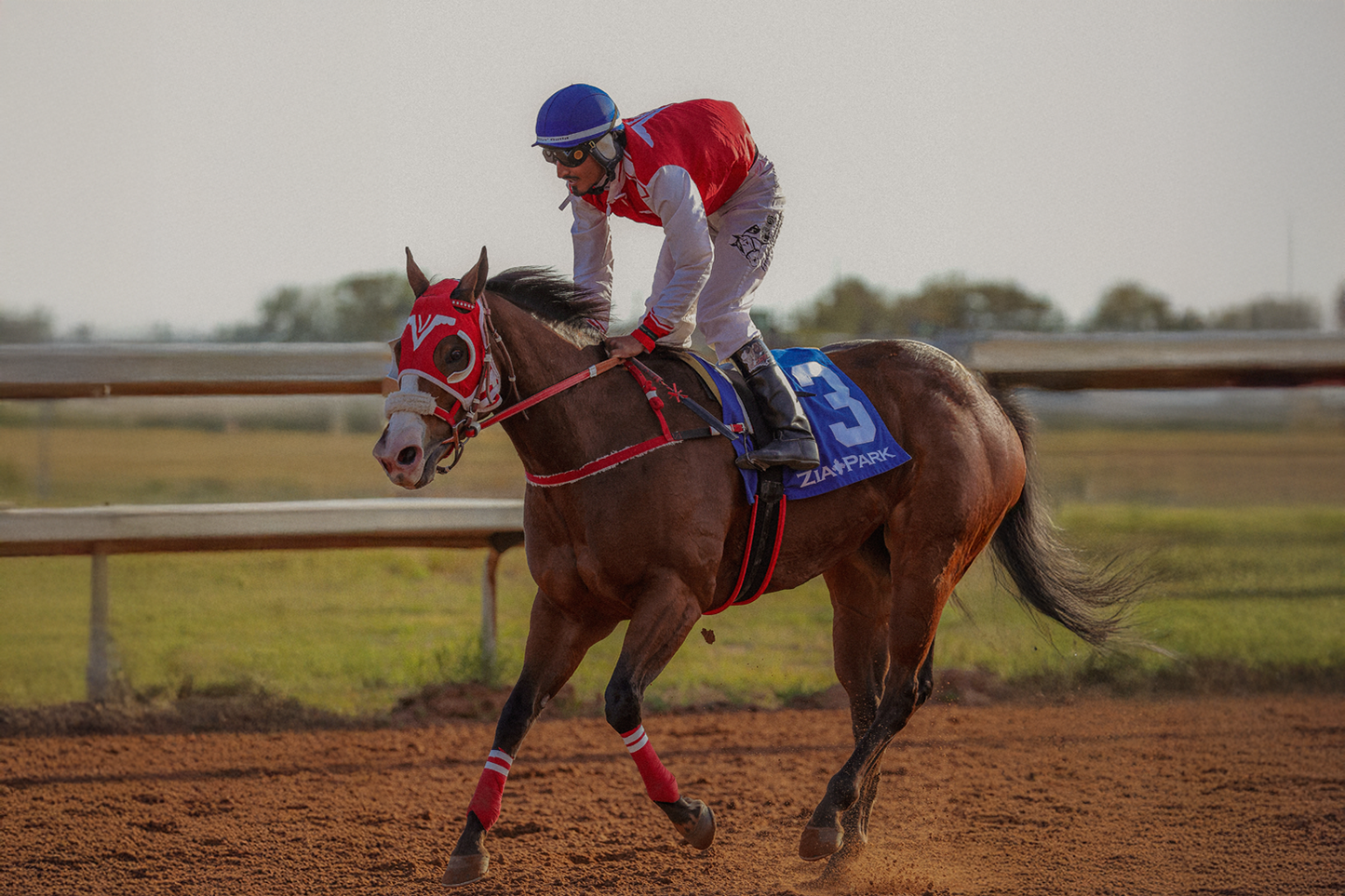 Kiss My Hocks x One Famous Star