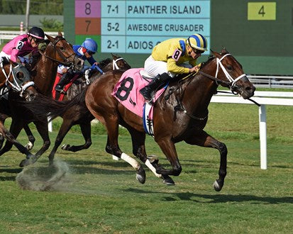 Panther Island ( TB ) SI 114 Track Record Setter