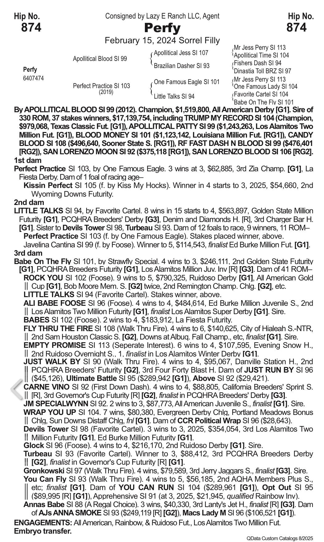 Hip # 874 Perfy - (Apollitical Blood x Perfect Practice)
