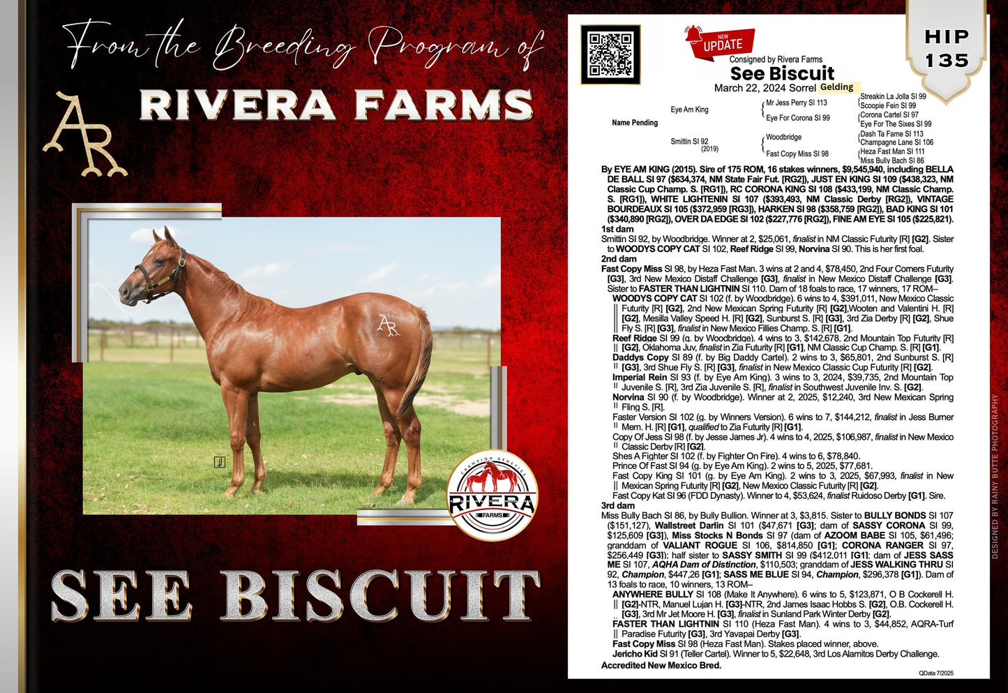 2025 New Mexico Bred Yearling Sale