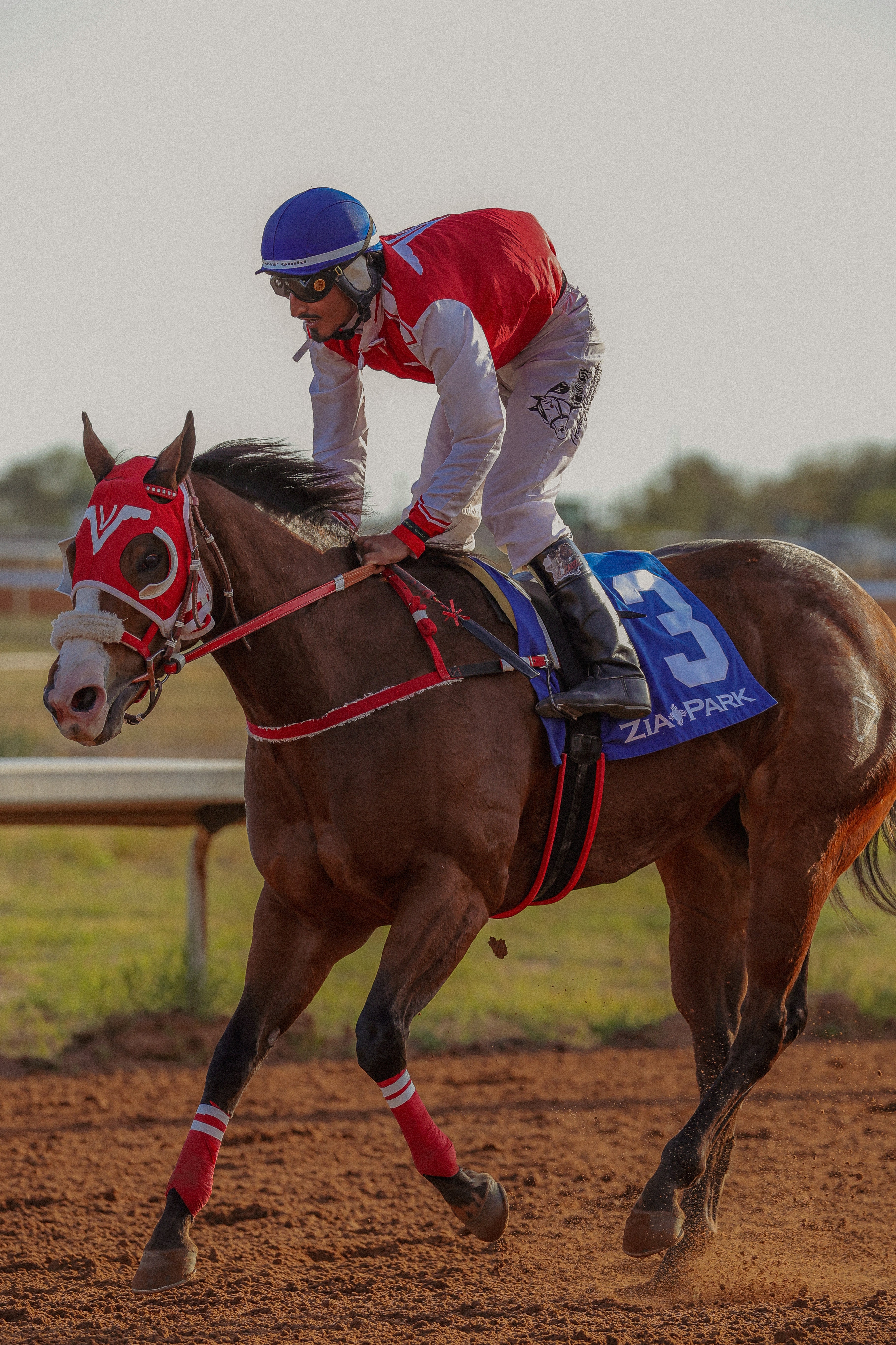 Q Racing Purga Map One Famous Star – Supreme Q Racing