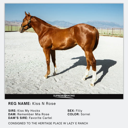 Kiss My Hocks x Remember Mia Rose