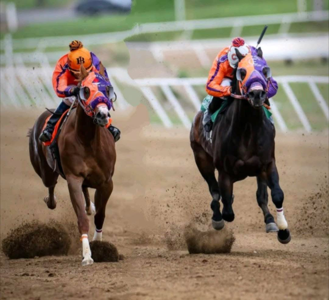 Kissin N Memphis – Supreme Q Racing