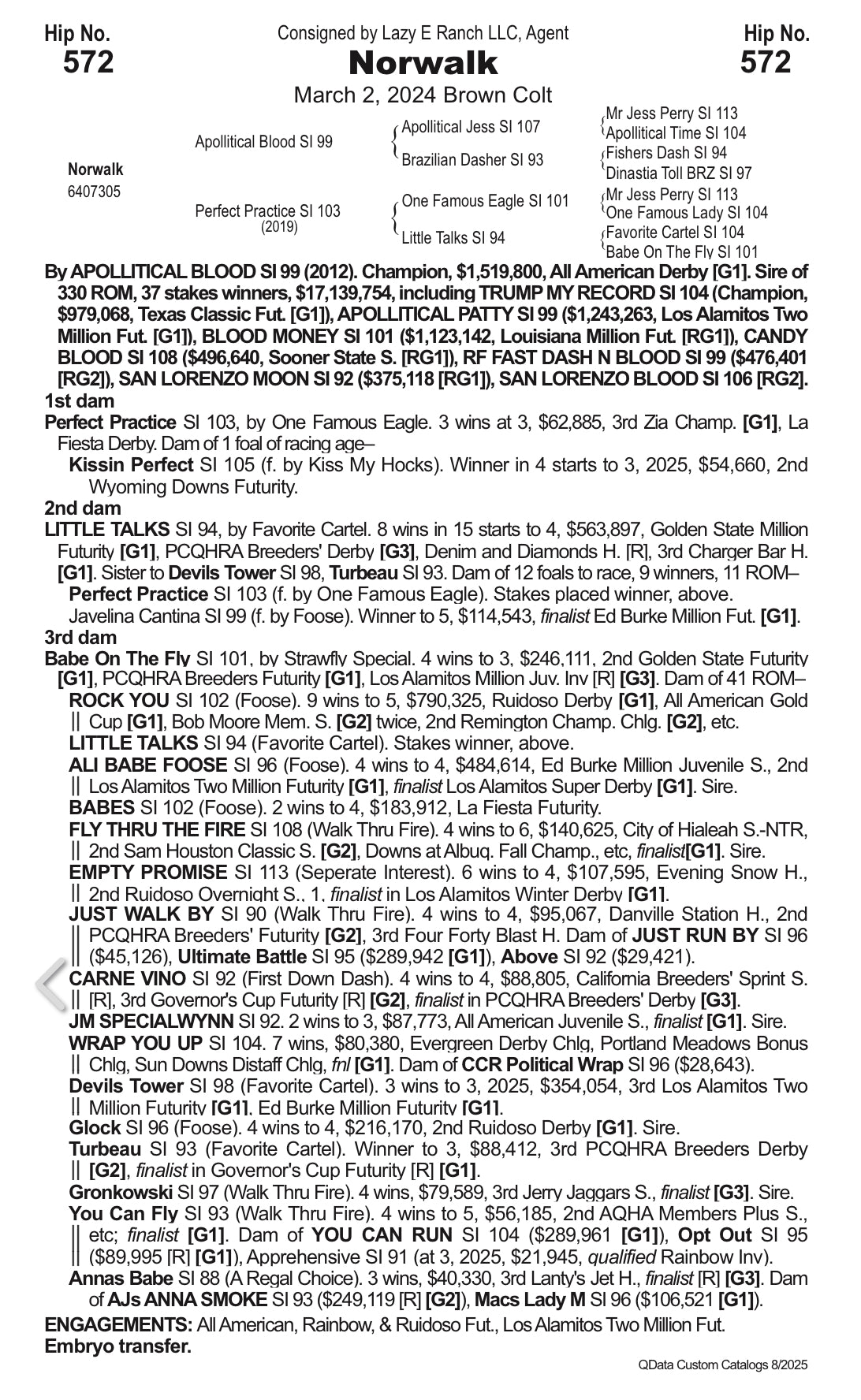 Hip # 572 Norwalk -  (Apollitical Blood x Perfect Practice)