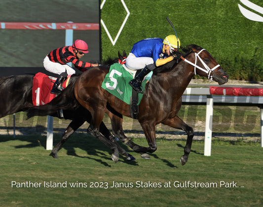 Panther Island ( TB ) SI 114 Track Record Setter