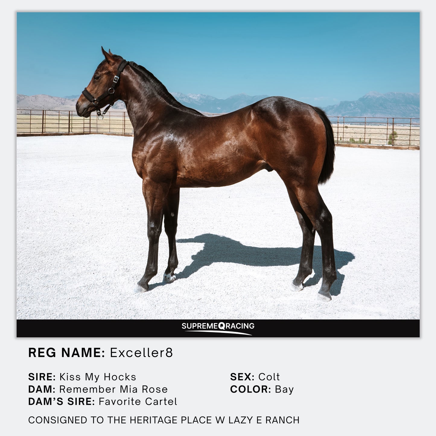 2025 Heritage Place Yearling Sale