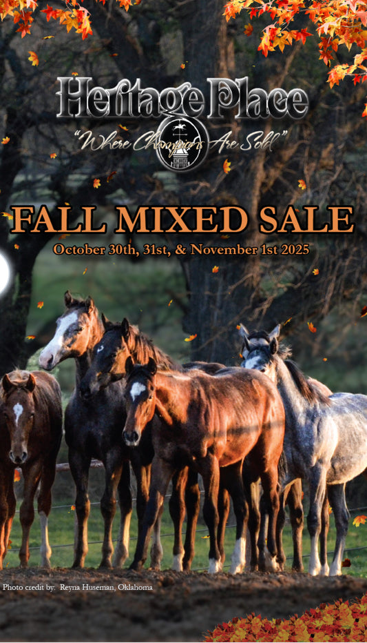 2025 Fall Mixed Heritage Catalog