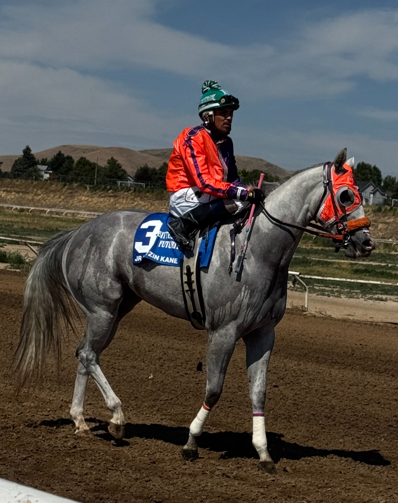 KVN Corona x Jr Prissys Blood ( Apollitical Blood )