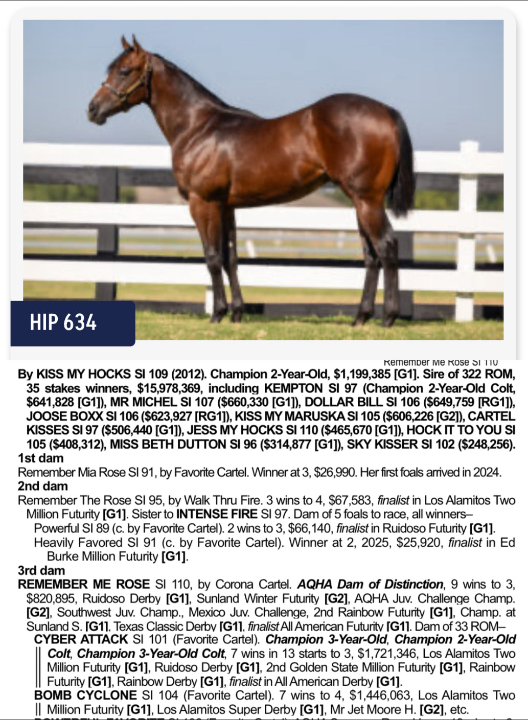 2025 Heritage Place Yearling Sale