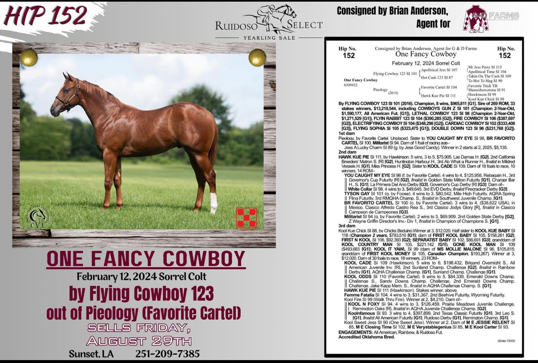 2025 Ruidoso Select Sale Catalog Supreme Q Racing