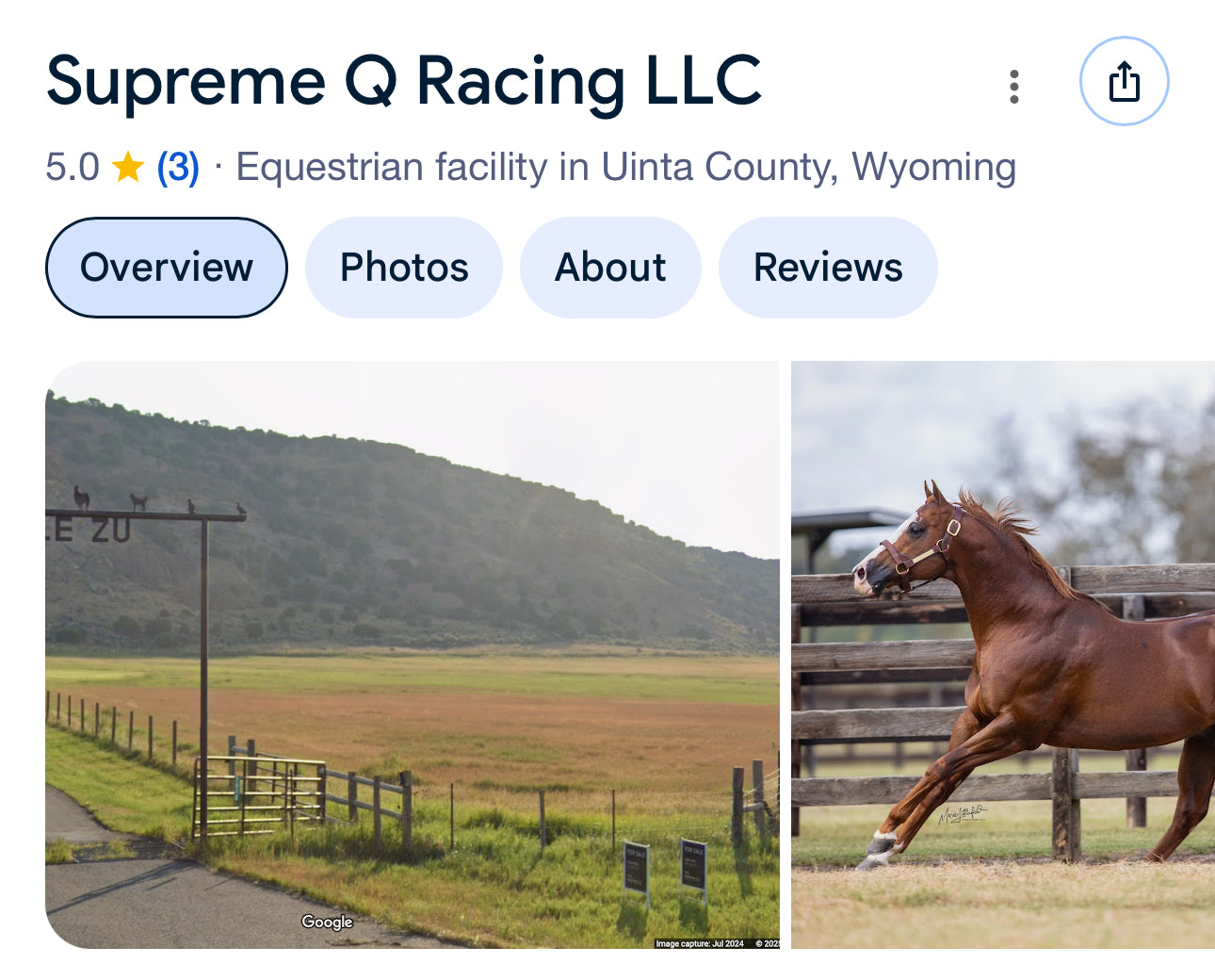 Wyoming Bred Mare Care