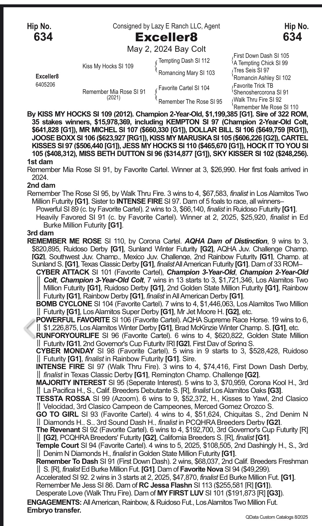 Hip # 634 Exceller8 (Kiss My Hocks x Remember Mia Rose)