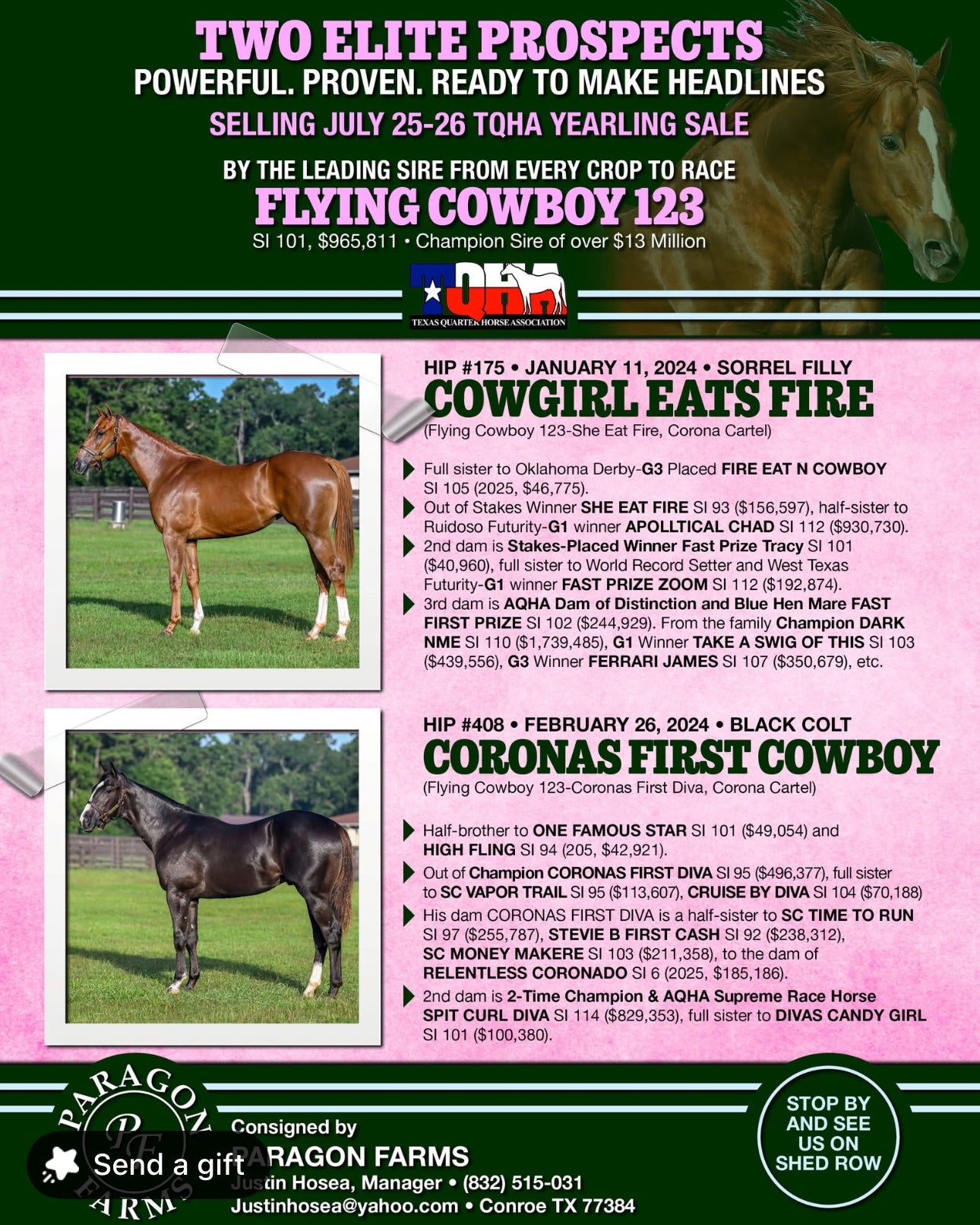 2025 TQHA Sale Catalog