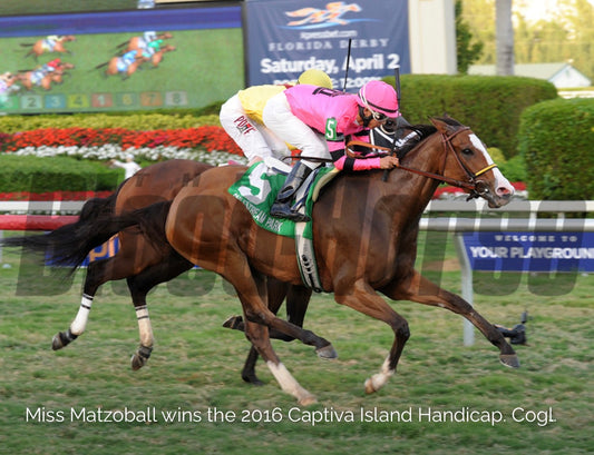 Miss Matzaball $199k LTE