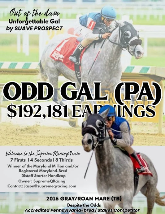 Odd Gal (TB) $192k LTE
