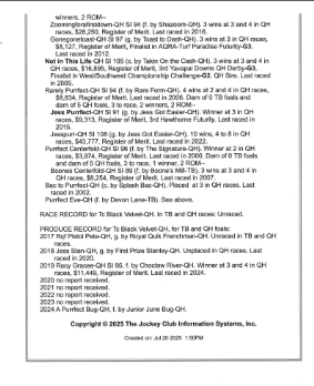 TC BLACK VELVET (Wyoming Accredited Mare In Foal)