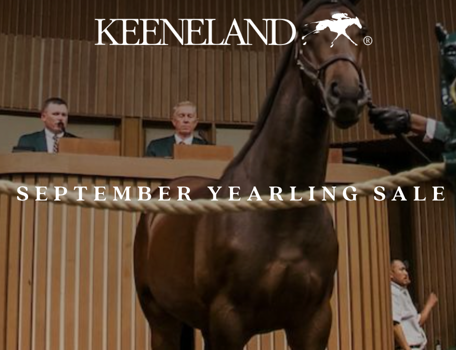 2025 Keenland Yearling Sale