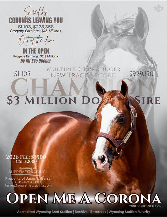 AQHA Champion Open Me a Corona x Perfect Practice