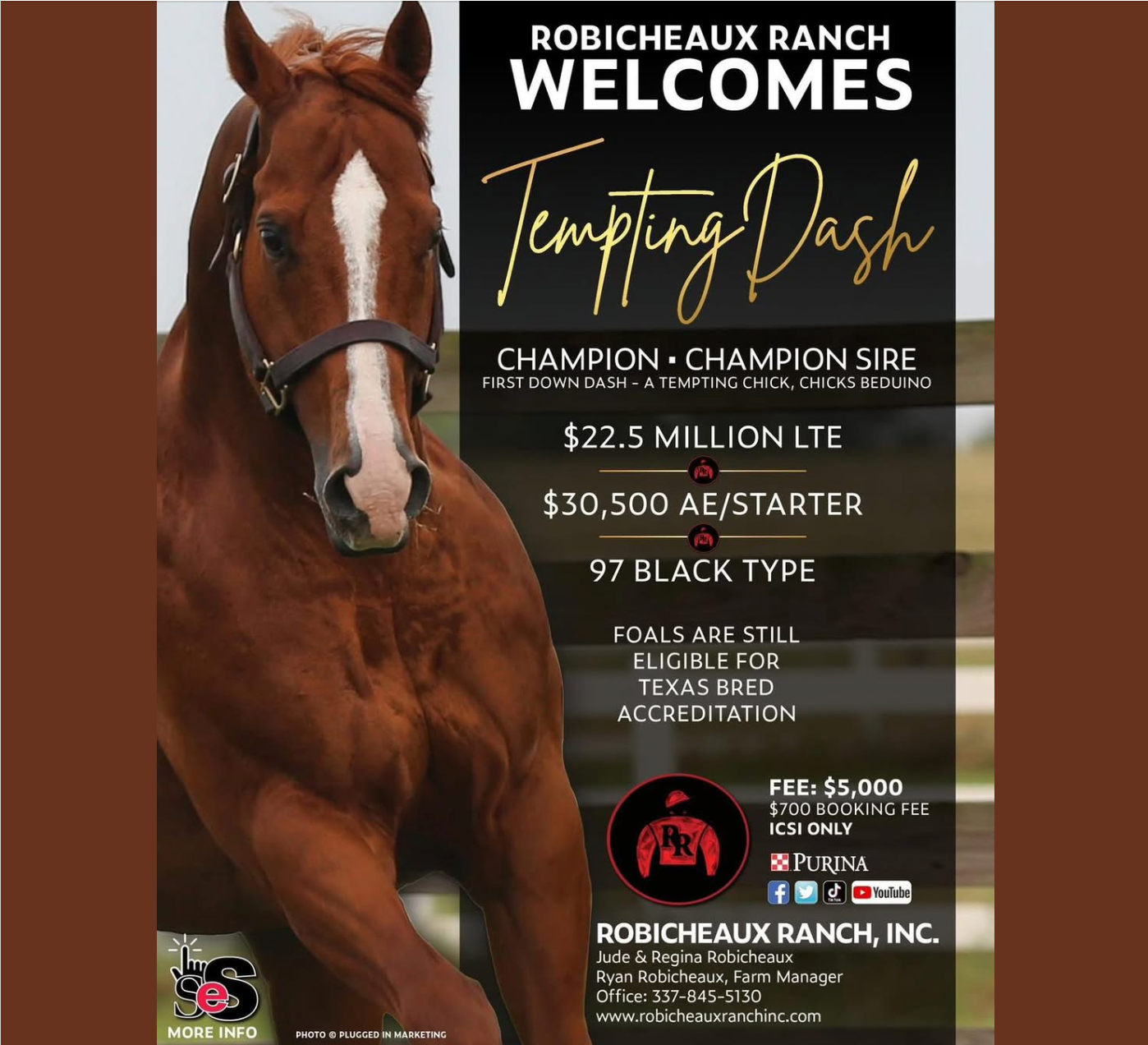 Tempting Dash x Perfect Practice