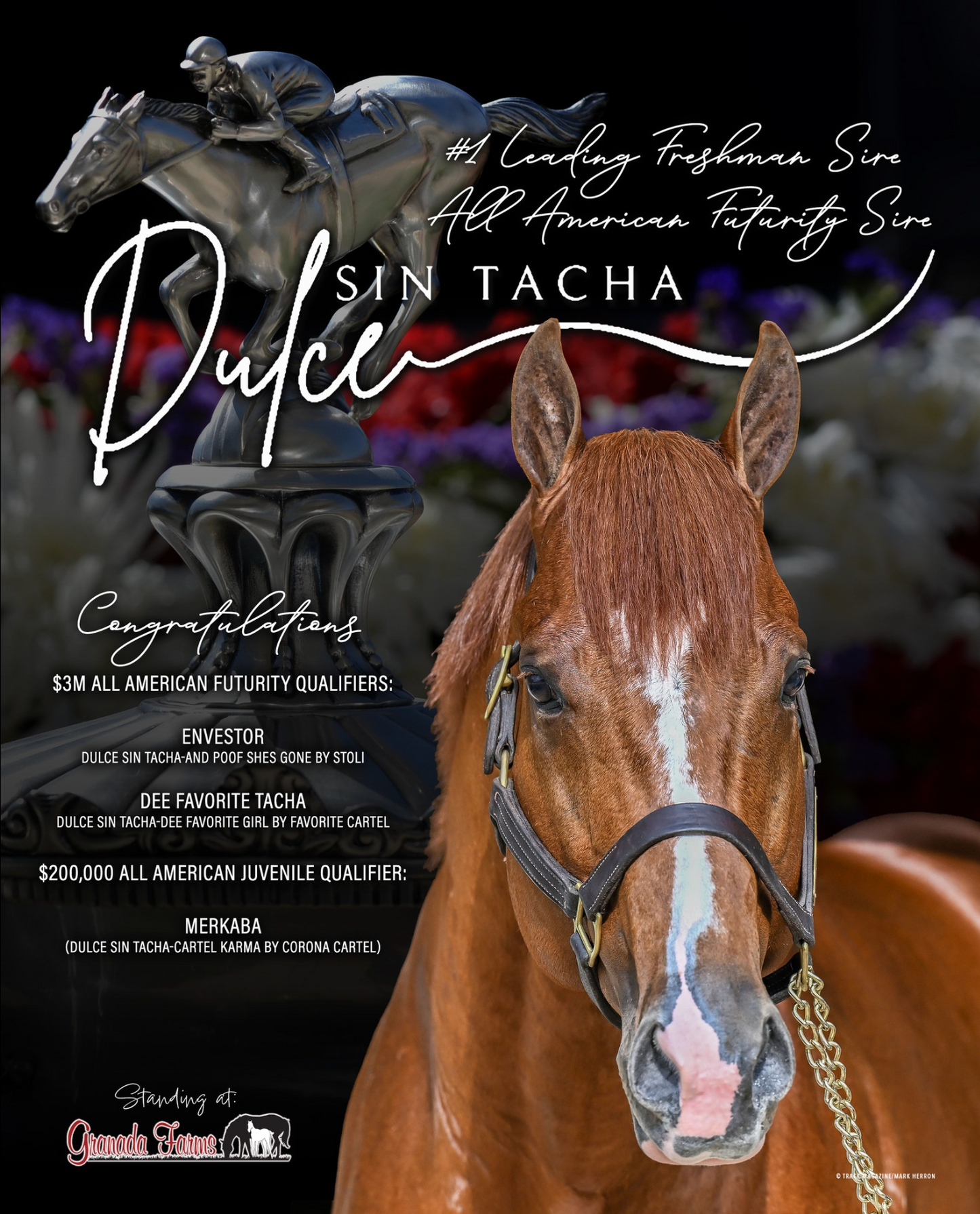 Dulce Sin Tacha x Remember Mia Rose
